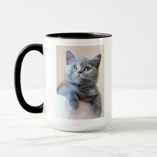Gray British Shorthair Cat Mok (Links)