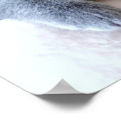 Gray British Shorthair Cat Poster (Hoek)