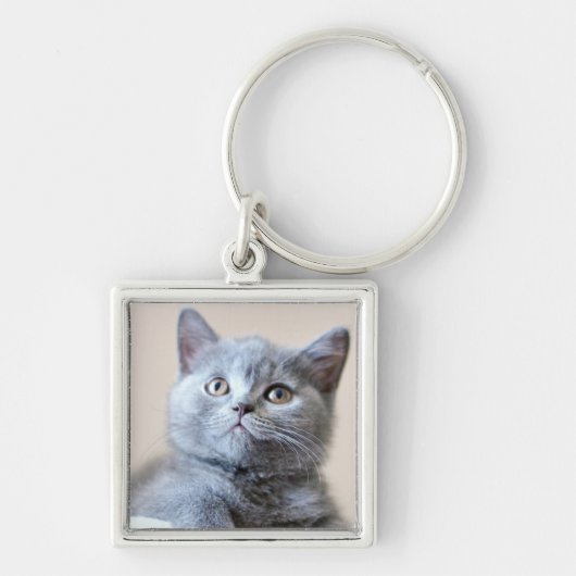 Gray British Shorthair Cat Sleutelhanger (Voorkant)