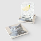Gray British Shorthair Cat Stenen Onderzetter (Zijkant)