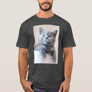 Gray British Shorthair Cat T-shirt