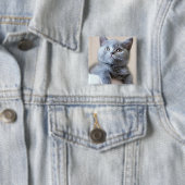 Gray British Shorthair Cat Vierkante Button 5,1 Cm (In situ)