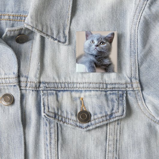 Gray British Shorthair Cat Vierkante Button 5,1 Cm (In situ)