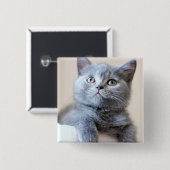 Gray British Shorthair Cat Vierkante Button 5,1 Cm (Voorkant /achterkant)