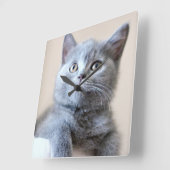 Gray British Shorthair Cat Vierkante Klok (Hoek)