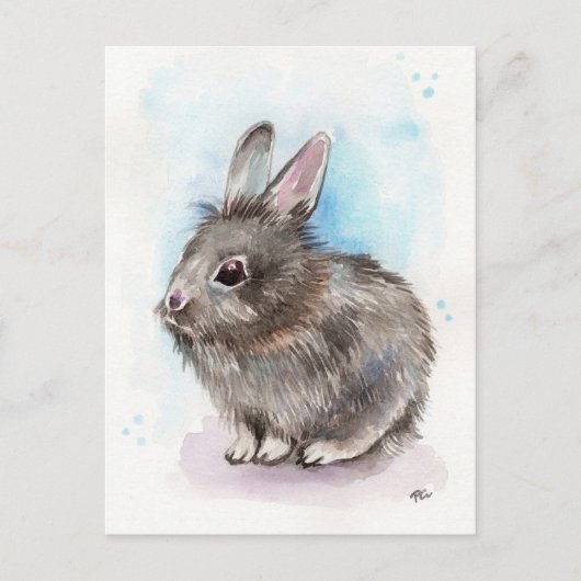 Gray Bunny Briefkaart (Voorkant)