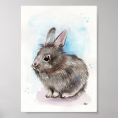 Gray Bunny Poster (Voorkant)