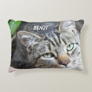 Gray Cat Accent Pillow Kussen