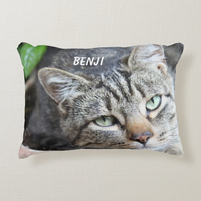 Gray Cat Accent Pillow Kussen (Voorkant)
