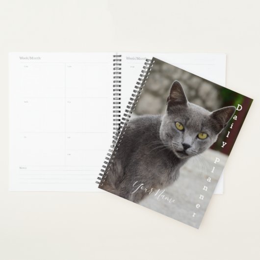 Gray Cat Chartreux - Daily Planner - HAMbWG (Display)