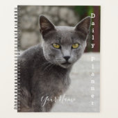 Gray Cat Chartreux - Daily Planner - HAMbWG (Voorkant)