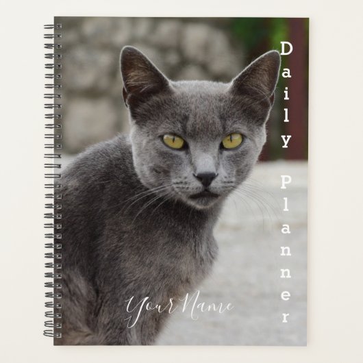 Gray Cat Chartreux - Daily Planner - HAMbWG (Voorkant)