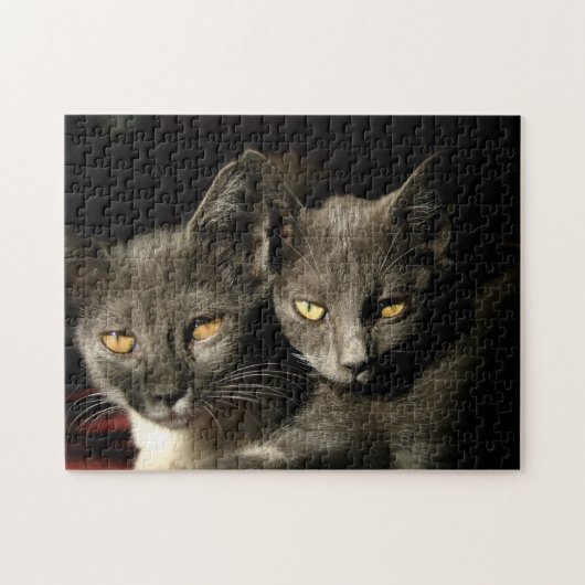 Gray Cat Copule Legpuzzel (Horizontaal)