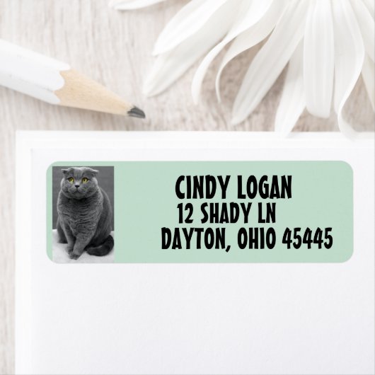GRAY CAT CUTE Return Address Label (Insitu)