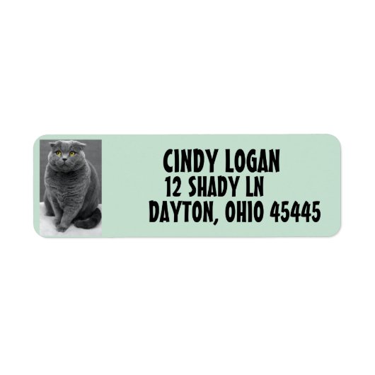 GRAY CAT CUTE Return Address Label (Voorkant)