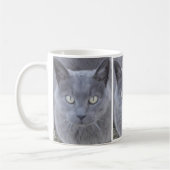 Gray Cat Face Close-up Koffiemok (Links)