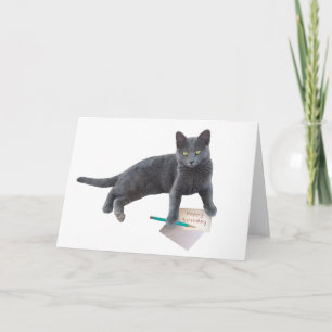 Gray Cat Happy Birthday-briefkaart Feestdagen Kaart