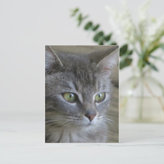 Gray Cat Portrait Briefkaart (Staand voorkant)
