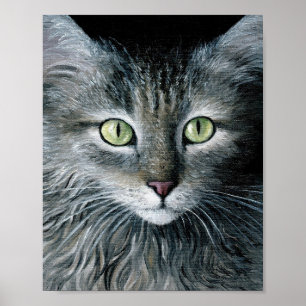 Gray Cat portret 478 Poster