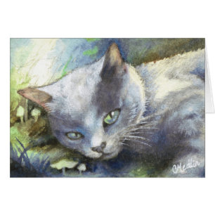 Gray Cat schattig kitten, realisme dierschilderkaa
