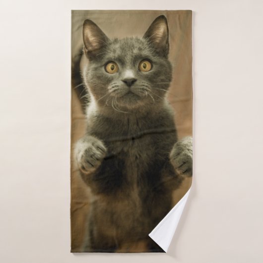 GRAY CAT STANDING IN TWEE FEET BADHANDDOEK (Badhanddoek)