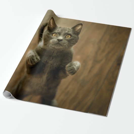 GRAY CAT STANDING IN TWEE FEET CADEAUPAPIER (Uitgerold)