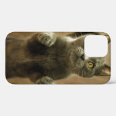 GRAY CAT STANDING IN TWEE FEET Case-Mate iPhone CASE (Achterkant (horizontaal))