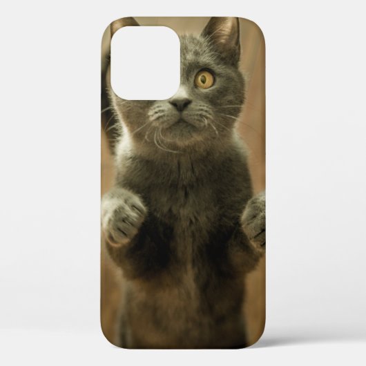 GRAY CAT STANDING IN TWEE FEET Case-Mate iPhone CASE (Achterkant)