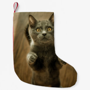 GRAY CAT STANDING IN TWEE FEET KLEINE KERSTSOK