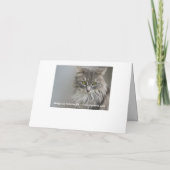 Gray Cat Sympathie Wenskaart Kaart (Achterkant)
