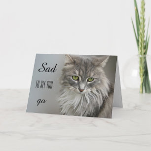 Gray Cat Sympathie Wenskaart Kaart