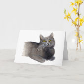 Gray Cat Sympathie wenskaart Kaart (Gele Bloem)