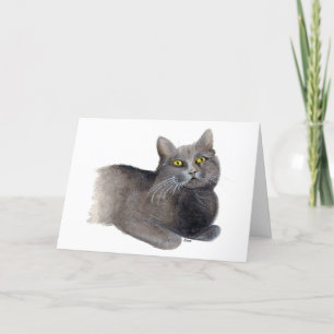 Gray Cat Sympathie wenskaart Kaart