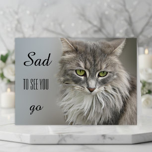Gray Cat Sympathie Wenskaart Kaart