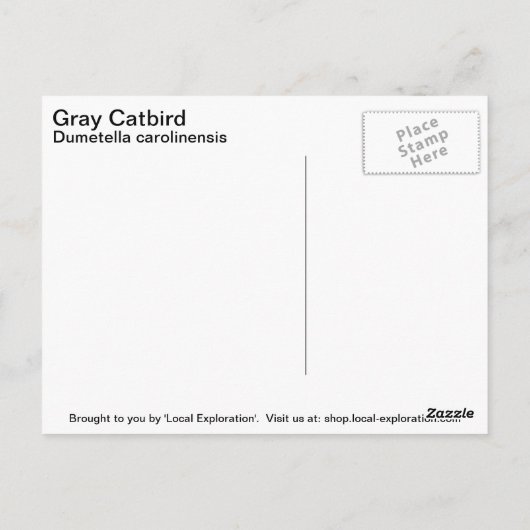 Gray Catbird Briefkaart (Achterkant)