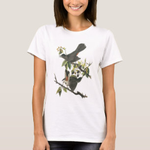 Gray Catbird by Audubon T-shirt