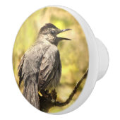 Gray Catbird Ceramic Knob. Keramische Knop (Rechts)