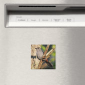 Gray Catbird Magnet (Insitu (Vaatwasser))