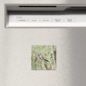 Gray Catbird Magnet (Insitu (Vaatwasser))