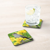 Gray Catbird on wooden fence Bier Onderzetter (Rechterzijde)