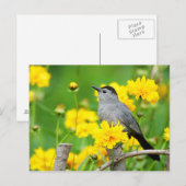 Gray Catbird on wooden fence Briefkaart (Voorkant / Achterkant)