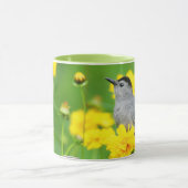 Gray Catbird on wooden fence Mok (Midden)