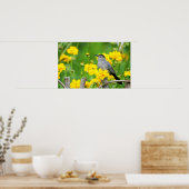 Gray Catbird on wooden fence Poster (Keuken)