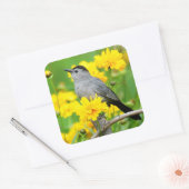 Gray Catbird on wooden fence Vierkante Sticker (Envelop)