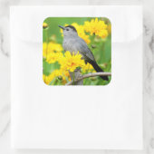 Gray Catbird on wooden fence Vierkante Sticker (Tas)
