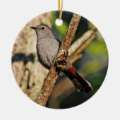 Gray Catbird Ornament (Voorkant)