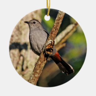 Gray Catbird Ornament