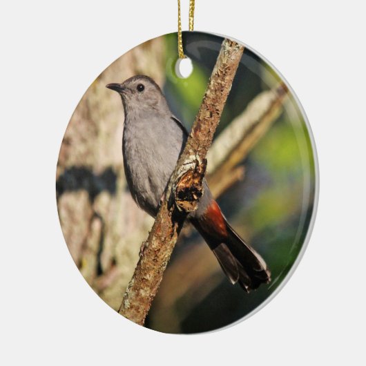 Gray Catbird Ornament (Links)