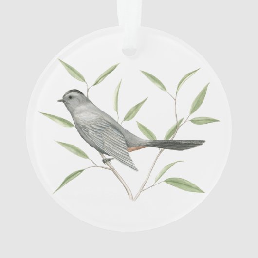 Gray Catbird Ornament (achterkant)