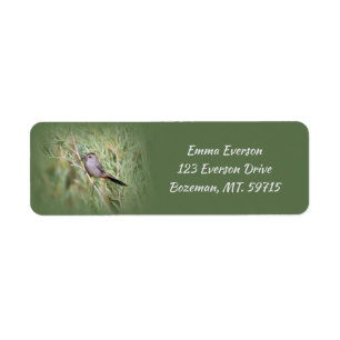 Gray Catbird Return Label